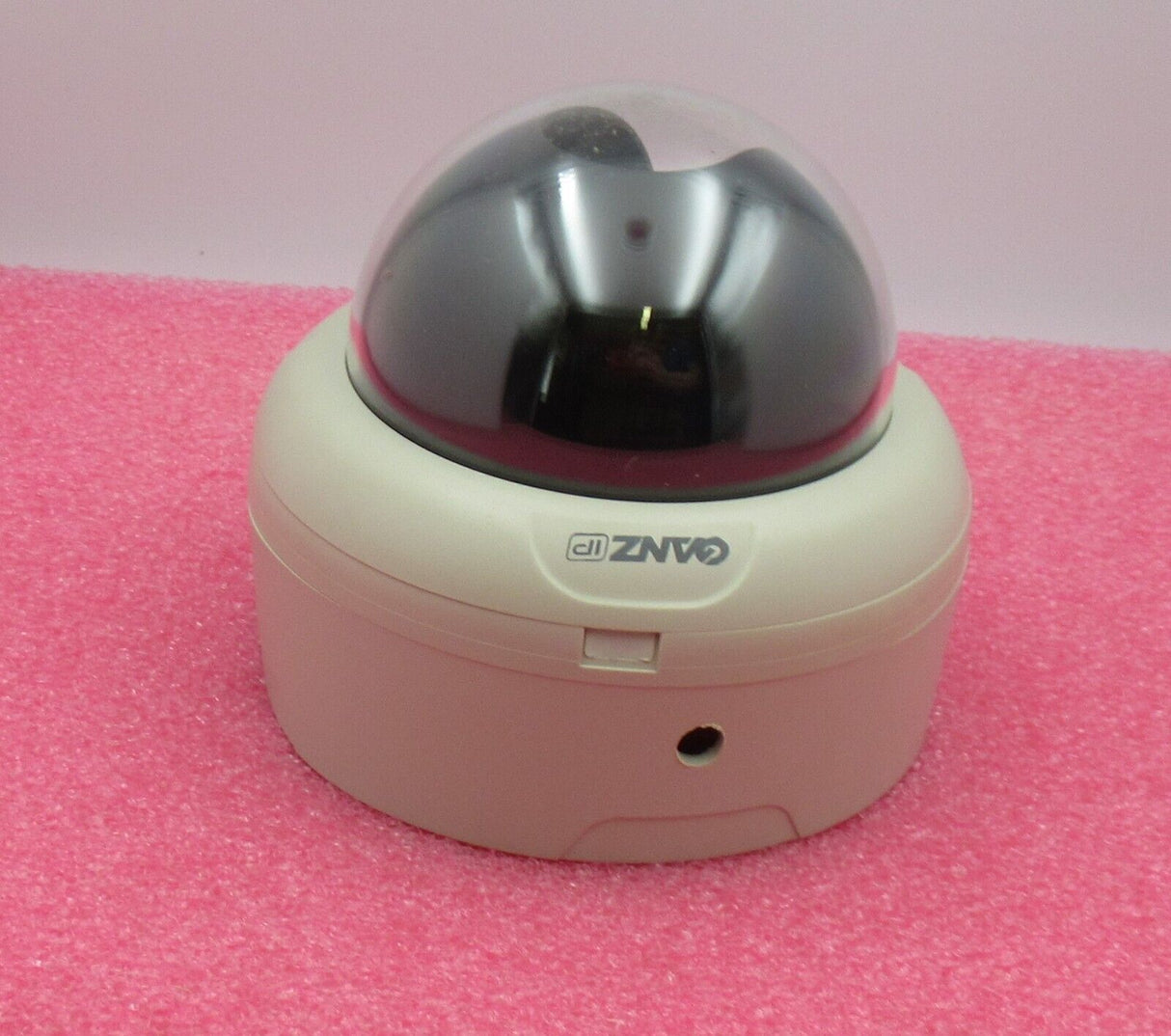 Ganz ZL-D310APE Colour IP Network Security CCTV Dome Camera