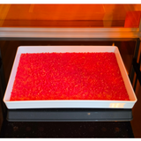 SICCO Maxi 1 Desiccator Protect UV Blocking Orange Acrylic PMMA Drying Chamber13
